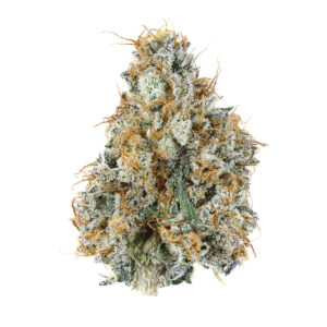 Buy Gary Payton Strain in Australia