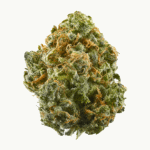 Buy Blue Dream Strain Australia