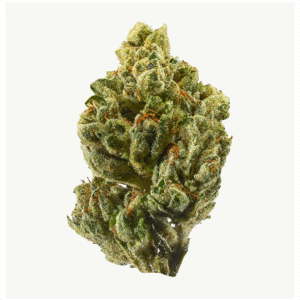 Buy Og Kush Cannabis Strain Australia