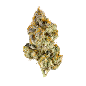 Lemon Cherry Gelato Strain Australia