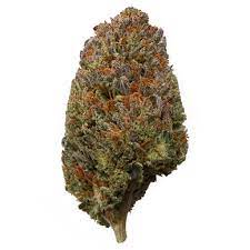 Bubba Kush strain Australia
