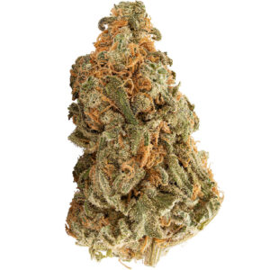 Blueberry strain Australia
