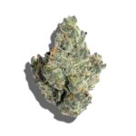 Pineapple Punch strain Australia