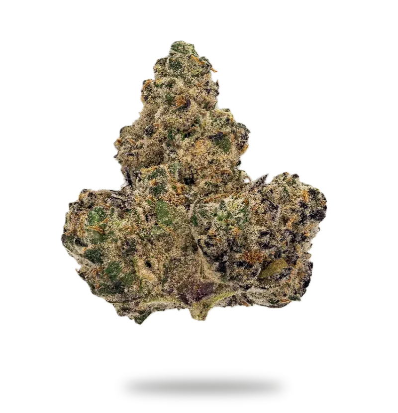 Lemon Haze strain Australia