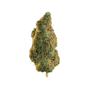 Northern Lights strain Australia