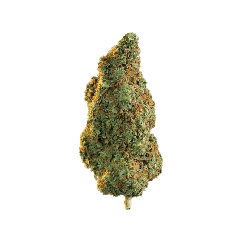 Northern Lights strain Australia