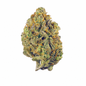 Fruit Punch strain Australia