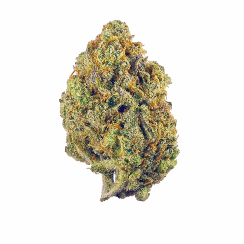 Fruit Punch strain Australia