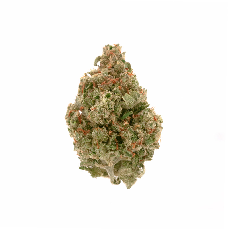 Jack Herer Weed Strain Australia