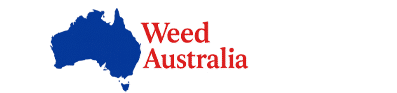 Weed in Australia 